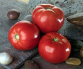 Bella Rosa Tomato Plant