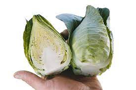 Caraflex Cabbage Plant