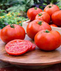 Better Boy Tomato Plant
