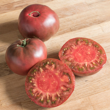 Cherokee Purple Tomato Plant